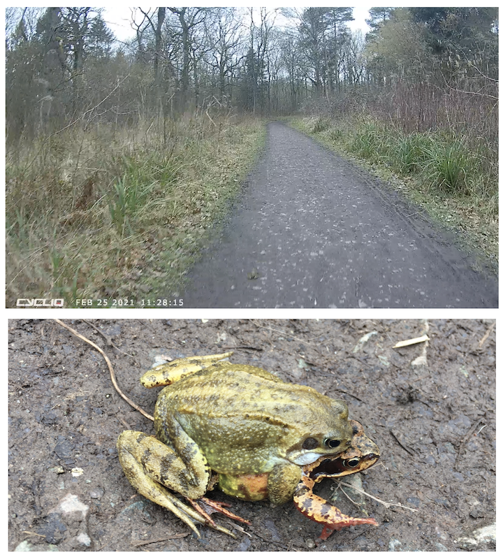 https://road.cc/wp-content/uploads/roadcc/Screenshot 2021-02-25 at 15.53.58.png